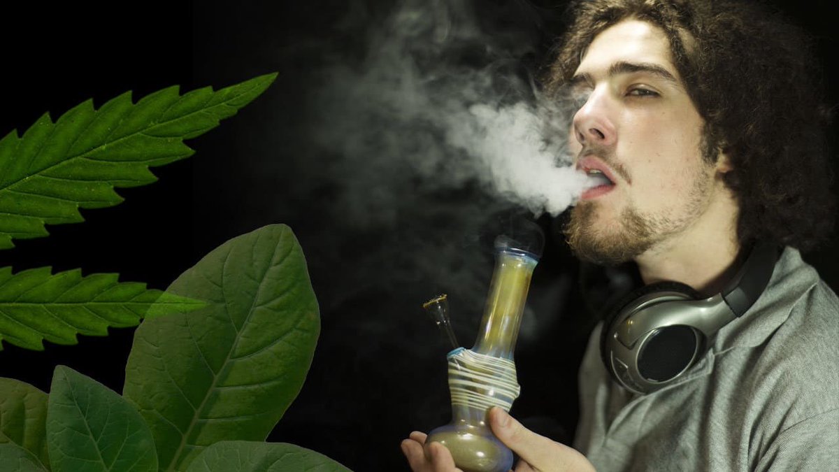 Кто из музыкантов курил марихуану тор браузер на русском скачать бесплатно торрент вход на гидру