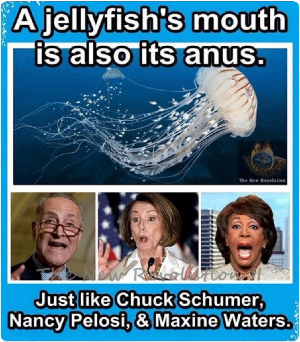 Col_Batman's tweet photo. @NancyPelosi Daily!?! You are a liar! Daily describes the physical violence, bullying, sexual assaults and harassment that these students place upon each other! Guns are not the issue. People like you and your excuses as you ignore what’s really going on is the problem. #SexualAbuse https://t.co/Ev0NX6lg8C