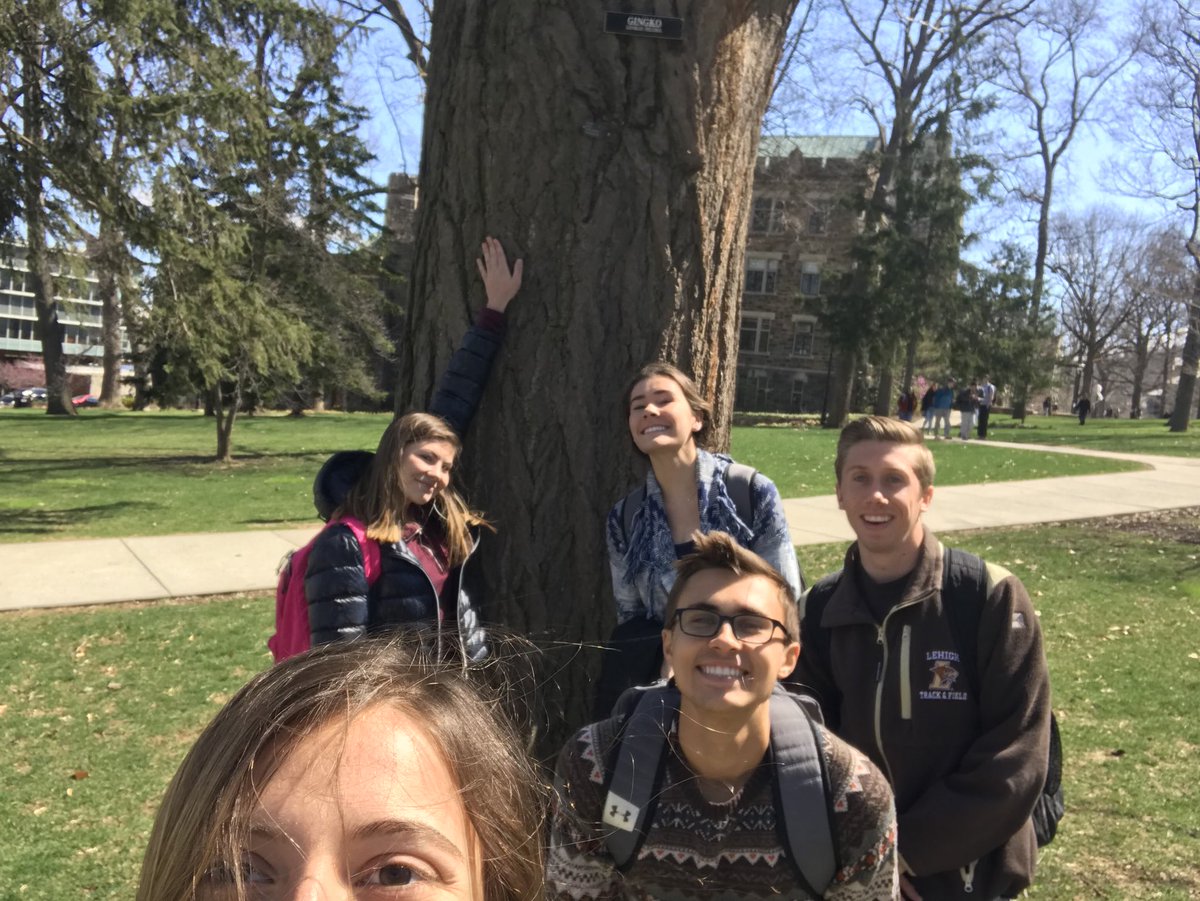 karabonnerEES's tweet photo. #gingkoselfie with some friends! #ees028 https://t.co/6t9AkGWJrH