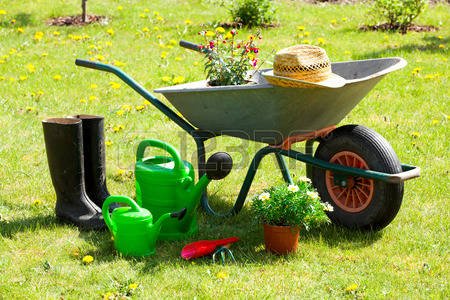 PhysioFirstC's tweet photo. Gardening is as strenuous an activity as any other form of exercise. 
Tips: 
Try not to stay in one position for too long 
Remember to take regular breaks
Consider gardening pilates  https://t.co/T473FFgRPP  (credit @Altrinch_Physio ) #privatephysiotherapy #quality https://t.co/TdhuxYElgk