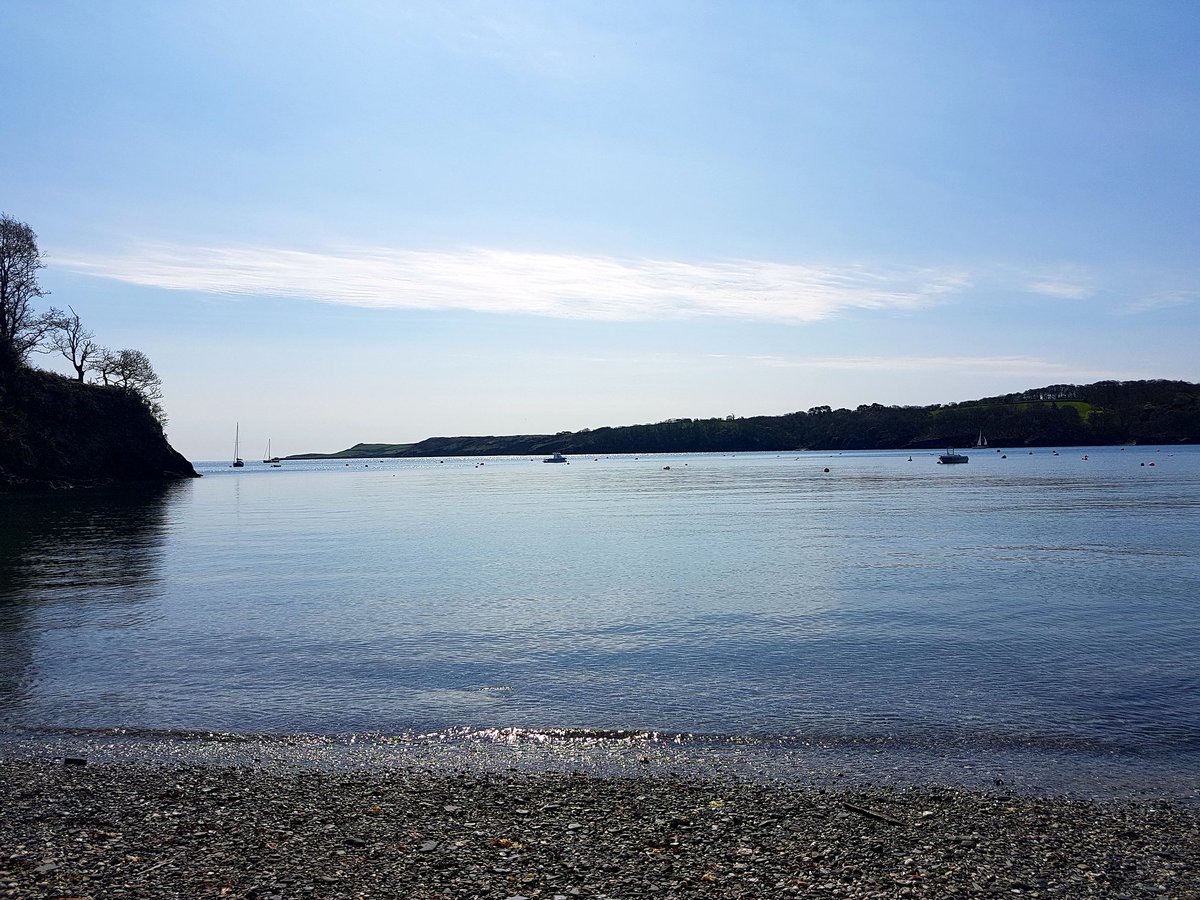 Emma Paull tweet media