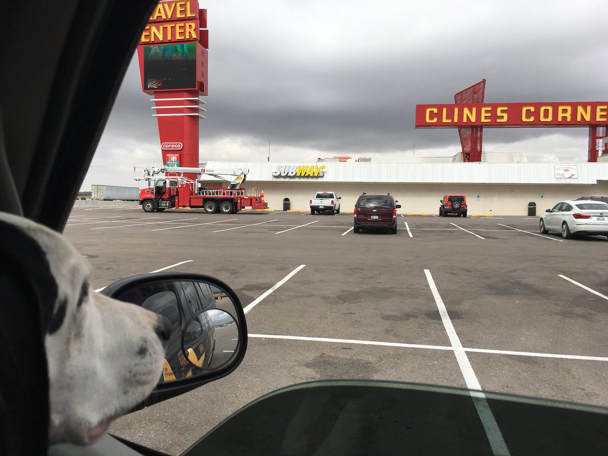 ChiFireFanMolly's tweet photo. Part of the fun of traveling across the US is seeing cool places, like this one, on #Route66 in #NewMexico. It’s been there since 1934! #MollysRoadTrip #Superpowerdogs #ClinesCorner @firesafetydogs https://t.co/3YOpTjobXP