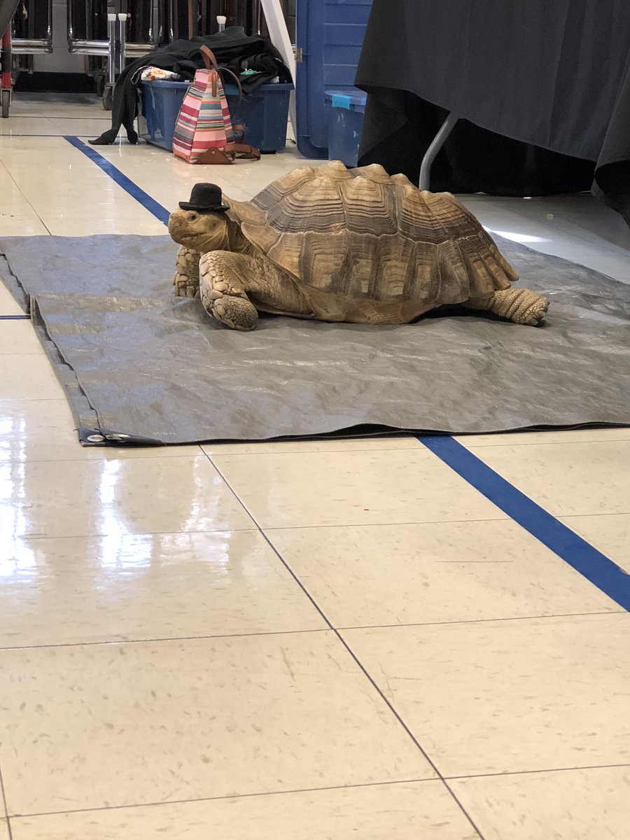 TyraJambois's tweet photo. We loved frog lady today! #raviniarocks #engage112 https://t.co/DouO3vVniA