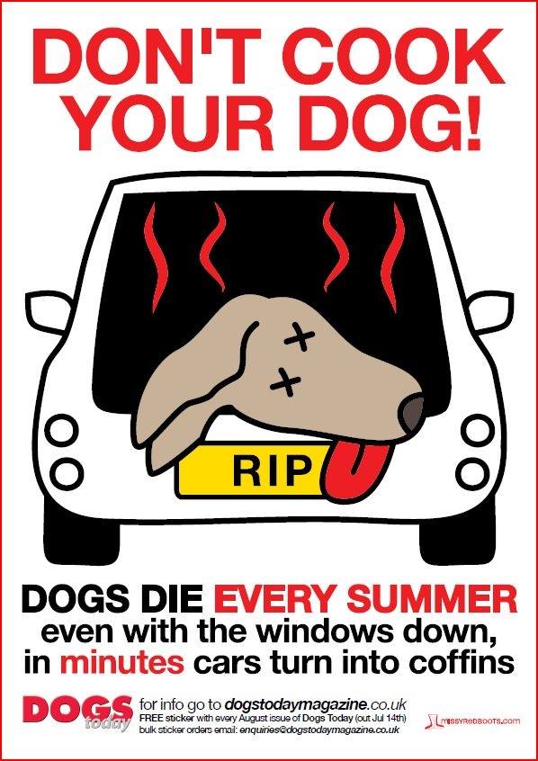 HearingDogs's tweet photo. We hope you all have an amazing weekend in the sunshine! 

But please remember to take care of your four-legged friend in the hot weather. Here are some tips to get prepared for summer >> https://t.co/FksmPeAC2v https://t.co/XBCMHYWvSb