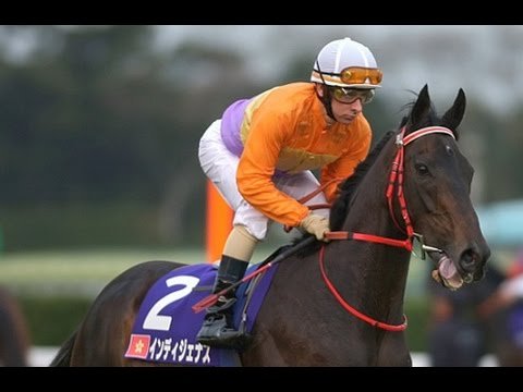 Naik ﾋ垢 على تويتر インディジェナス 原居民 アイルランド生まれて香港での有名な競走馬一つ 当然ながら日本では全くの無名で 日本初登板の1999年ジャパンカップでは12番人気という影の薄さ しかし最終的に2着という大穴をあげ スペシャルウィークと良い勝負した