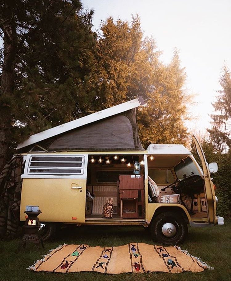 wekeepexploring's tweet photo. Do any of you folks live in a van? We've been #vandwellers off an on and while our van never looked like this, we still loved it! We want to hear your experiences living that #vanlife 
(📸 wildmartii) https://t.co/YJRE8ZHAfT