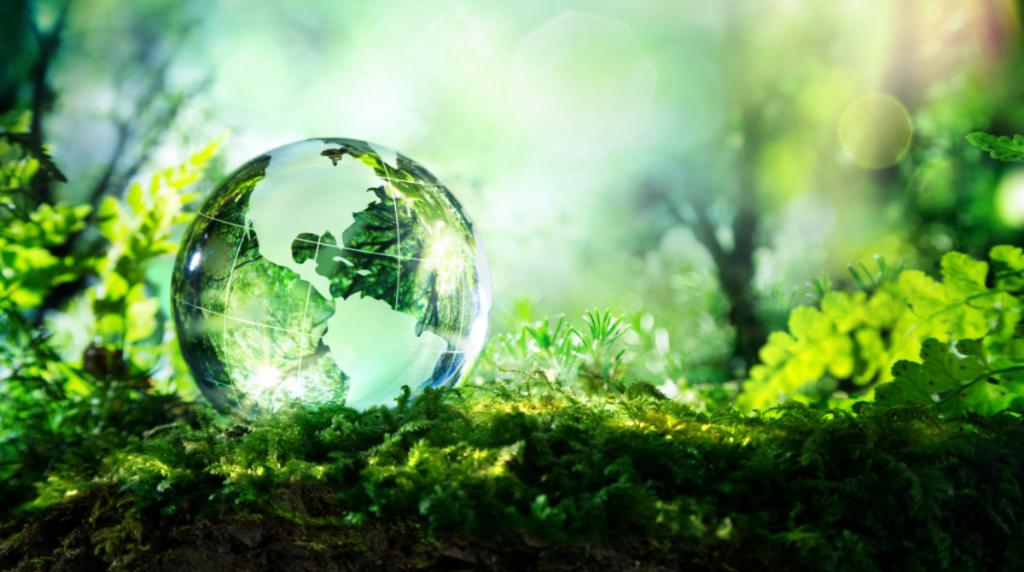 gafroofing's tweet photo. Researching materials for your next green project? Roofing pros, head over to @ecoScorecard which puts GAF sustainability evaluations right at your fingertips! https://t.co/WuHQjq4BLG https://t.co/86ODaU9RQ0