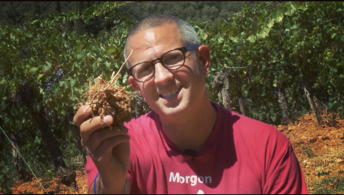 Tim Wildman MW (@timwildmanmw) on Twitter photo We're rolling up our sleeves and getting our hands dirty, with SOIL! the latest film <a href="/WineTutorTV/">WineTutorTV</a> #StudySmartStressLess #MWStudyFacts We're rolling up our sleeves and getting our hands dirty, with SOIL! the latest film <a href="/WineTutorTV/">WineTutorTV</a> #StudySmartStressLess #MWStudyFacts