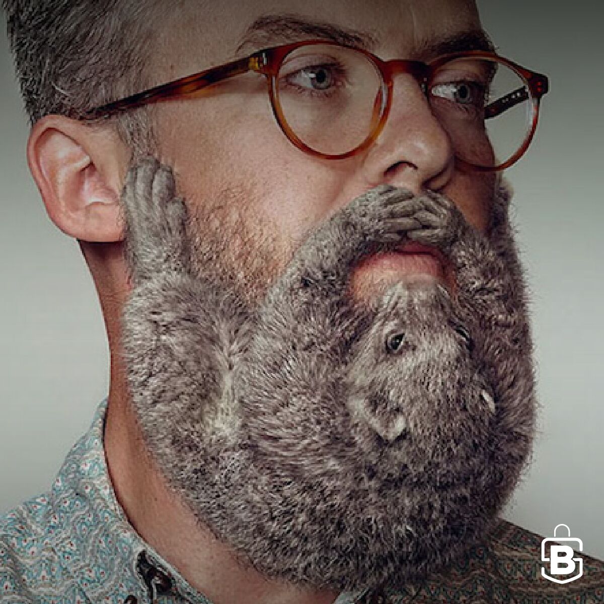 Bravestorebr's tweet photo. E aí? melhor com barba ou sem? Estas são fotos de uma campanha que a marca de barbeadores neozelandesa Schick realizou em 2014. Não foram utilizados animais reais.
#barba #barbudos #barbershop #bravestore #sp https://t.co/00NFXRoNo7