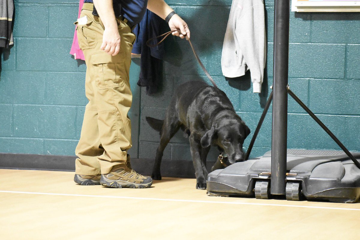 WCSOFL's tweet photo. K9 Ace from @scentevidencek9 was a HUGE hit with students at West DeFuniak Elementary today! 🐾❤️👍🏼 #K9 #childsafetykit #rextherescuephp @WaltonCountySD https://t.co/k5KUKvU8Cc