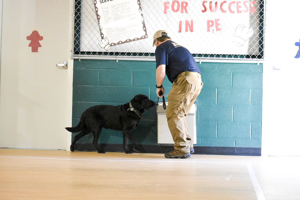 WCSOFL's tweet photo. K9 Ace from @scentevidencek9 was a HUGE hit with students at West DeFuniak Elementary today! 🐾❤️👍🏼 #K9 #childsafetykit #rextherescuephp @WaltonCountySD https://t.co/k5KUKvU8Cc