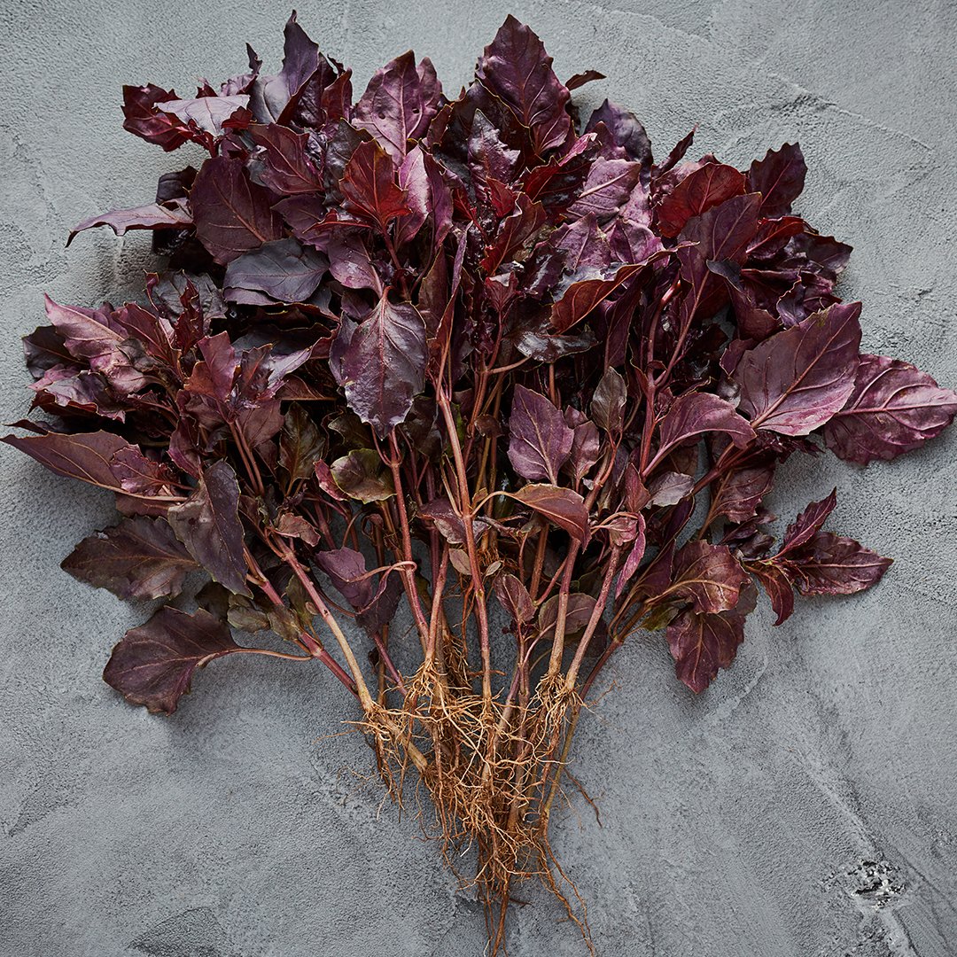 For us, our ingredients are equally important as our cooking skills.
.
.
.
#FucinaLondon #london #marylebone #restaurant #italian #italy #lovelondon #foodphotography #foodbloggers #fresh #colour #ingredients #foodie #hungry #instafood #foodblogger #eating #lunch #dinner #foodpics