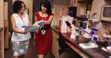 LetsFaceItCare's tweet photo. "#ExperimentalCompound Improves #StrokeOutcome By Reducing Lingering #Inflammation"
https://t.co/uLV3h1f8nb
#LatestHealthCareNews https://t.co/jbRYtXlNxs