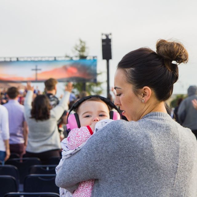 The Grove tweet media