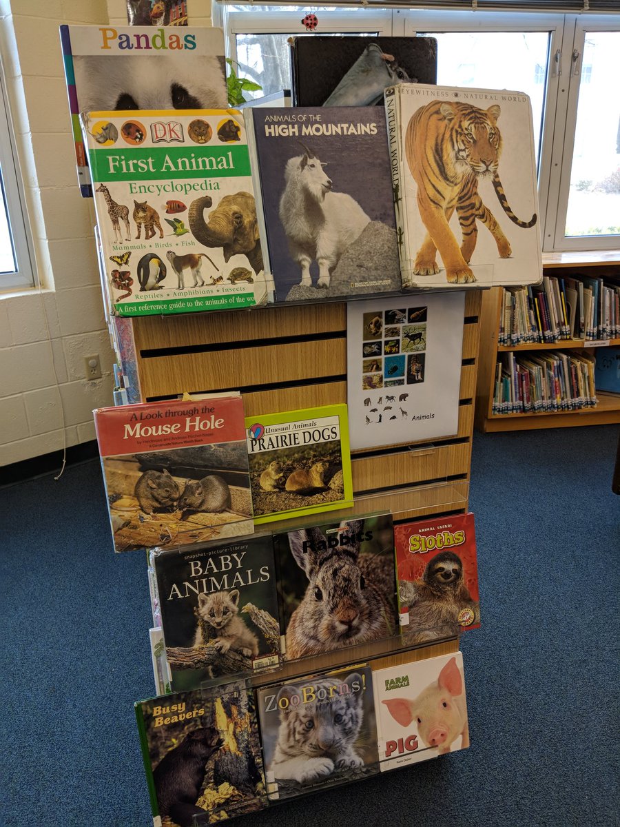 2Welch made some great displays in the library today.
