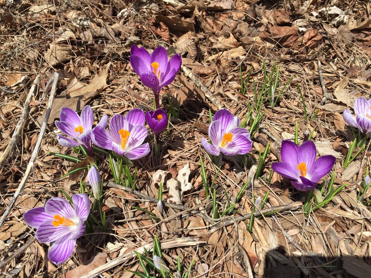 Earth day and cleaning up our school! Lovely.