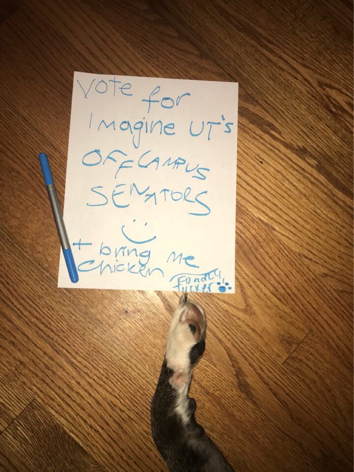 Imagine_UT's tweet photo. Go vote Imagine UT at https://t.co/WsKm8UqMwH https://t.co/1mDnjukgCy