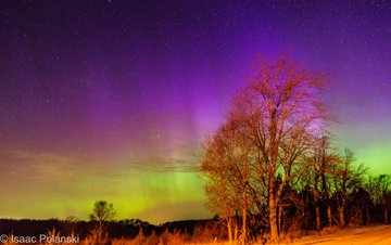 View image on Twitter