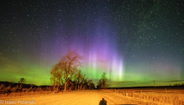 View image on Twitter