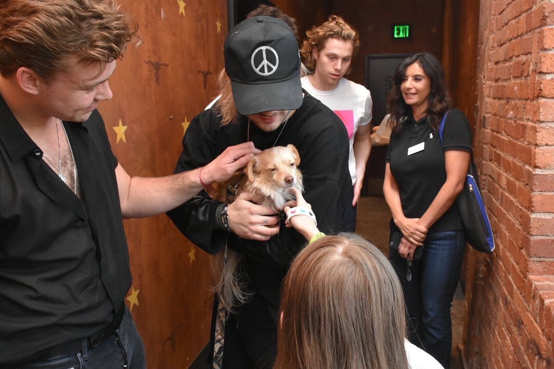 MCliffordPL's tweet image. 📷// M&amp;amp;G #5SOS3Dallas