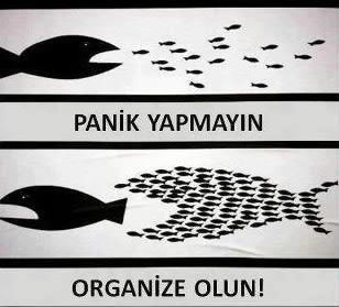 Gücü azımsanmayacak bir topluluk değerini,itibarını kazanma yolunda #CanımaTakEtti deyip büyük bir adım atabilir. 
Ben bu güce inanıyorum.
#SağGösteripSolSalla