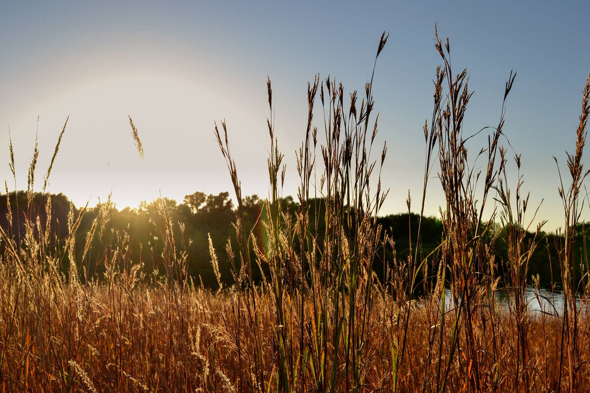 NECVoters's tweet photo. We're a month away from the inaugural Nebraska Conservation Awards. Grab your tickets before it's too late! https://t.co/aouG3x4EdA https://t.co/TL20YRWp0z