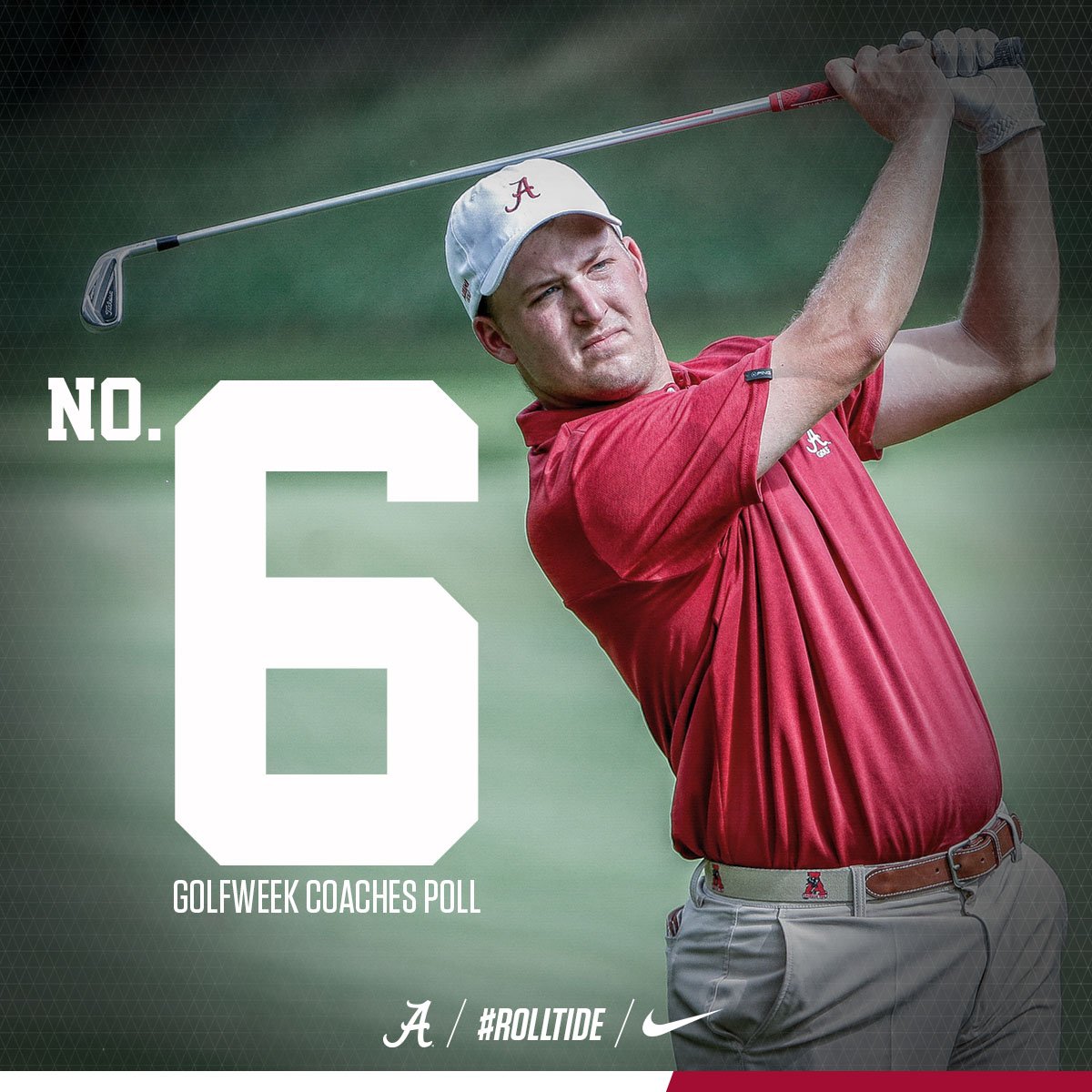 AlabamaMGolf's tweet photo. #Alabama ranked No. 6 in the nation according to the latest Bushnell Golfweek Men's Golf rankings!

Read the full release ▶️https://t.co/loxvCPZ3vq https://t.co/GSlioH4JbT