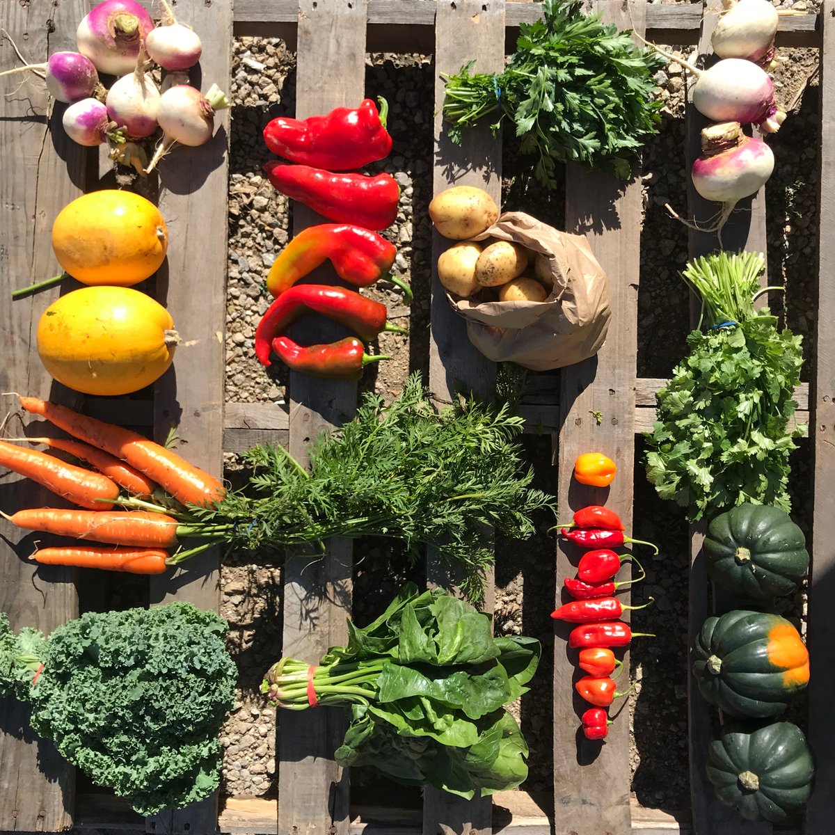 Featherstone Farm (@featherstonefv) on Twitter photo Thinking of joining our CSA program? Come down tomorrow to the <a href="/sewardcoop/">Seward Co-op</a> annual CSA fair! We'll be there at their <a href="/coopcreamery/">Seward Co-op Creamery Cafe</a> from 11am-2pm with info, yummy carrots to sample, great deals and giveaways! Thinking of joining our CSA program? Come down tomorrow to the <a href="/sewardcoop/">Seward Co-op</a> annual CSA fair! We'll be there at their <a href="/coopcreamery/">Seward Co-op Creamery Cafe</a> from 11am-2pm with info, yummy carrots to sample, great deals and giveaways!