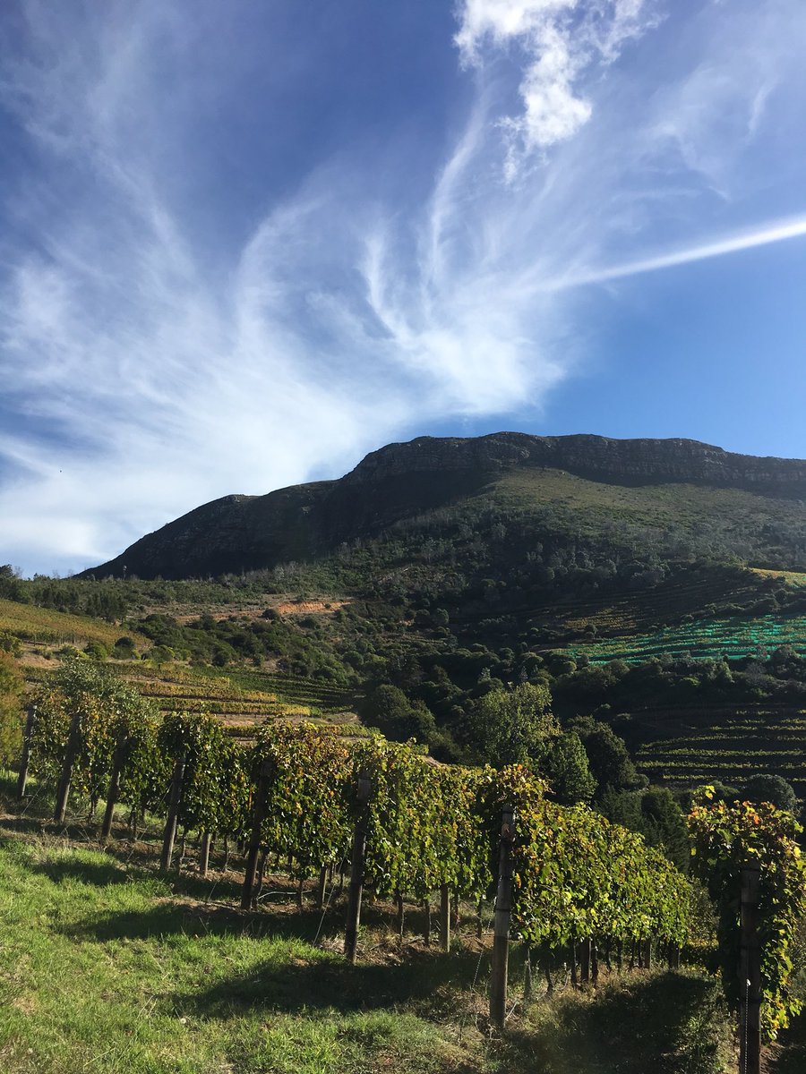 Sou_Chabada's tweet photo. Great tasting at @eaglesnestwines with the explanations of the winemaker #freshness #winelover #rhonestyle #shiraz @WOSA https://t.co/ayqQhhZLWq