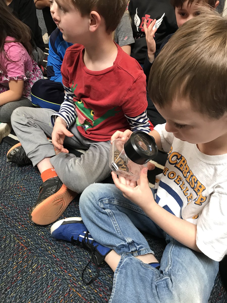 IHPlayStudio's tweet photo. Thank you to Lara from @CincyParks for teaching us even more about butterflies! #longterminvestigation #expertvisit #krohnconservatory https://t.co/O7OzToKUFk