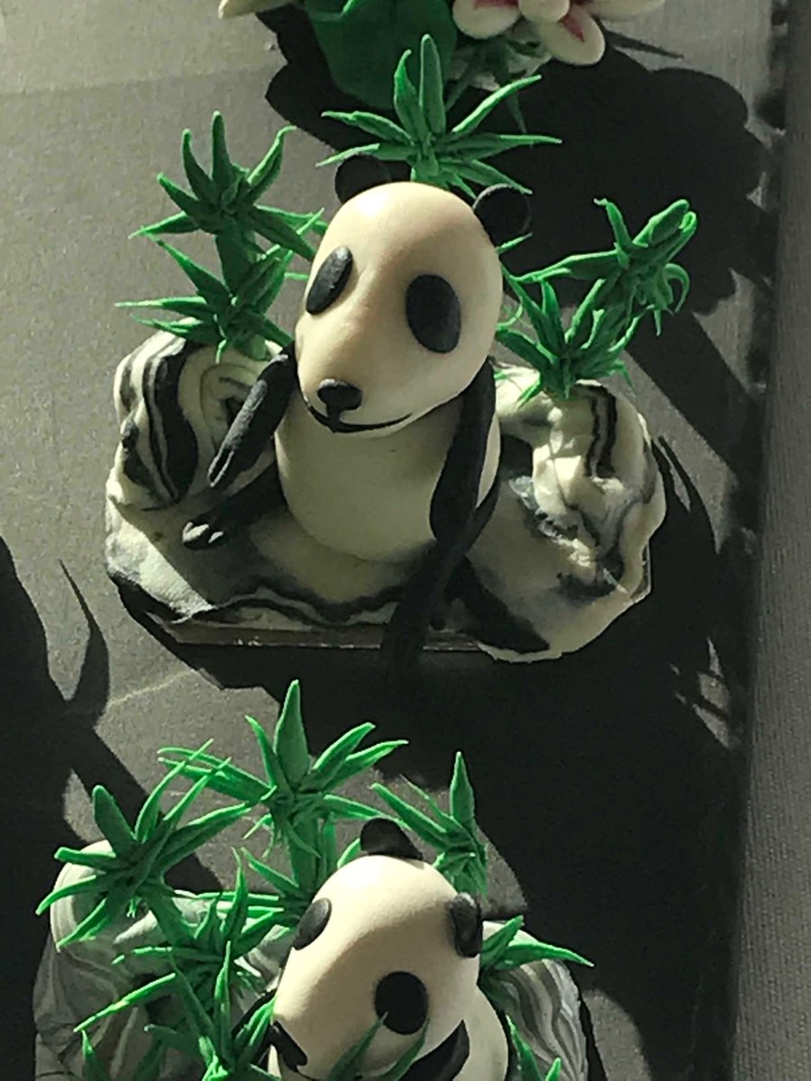 Natalie Webb tweet media