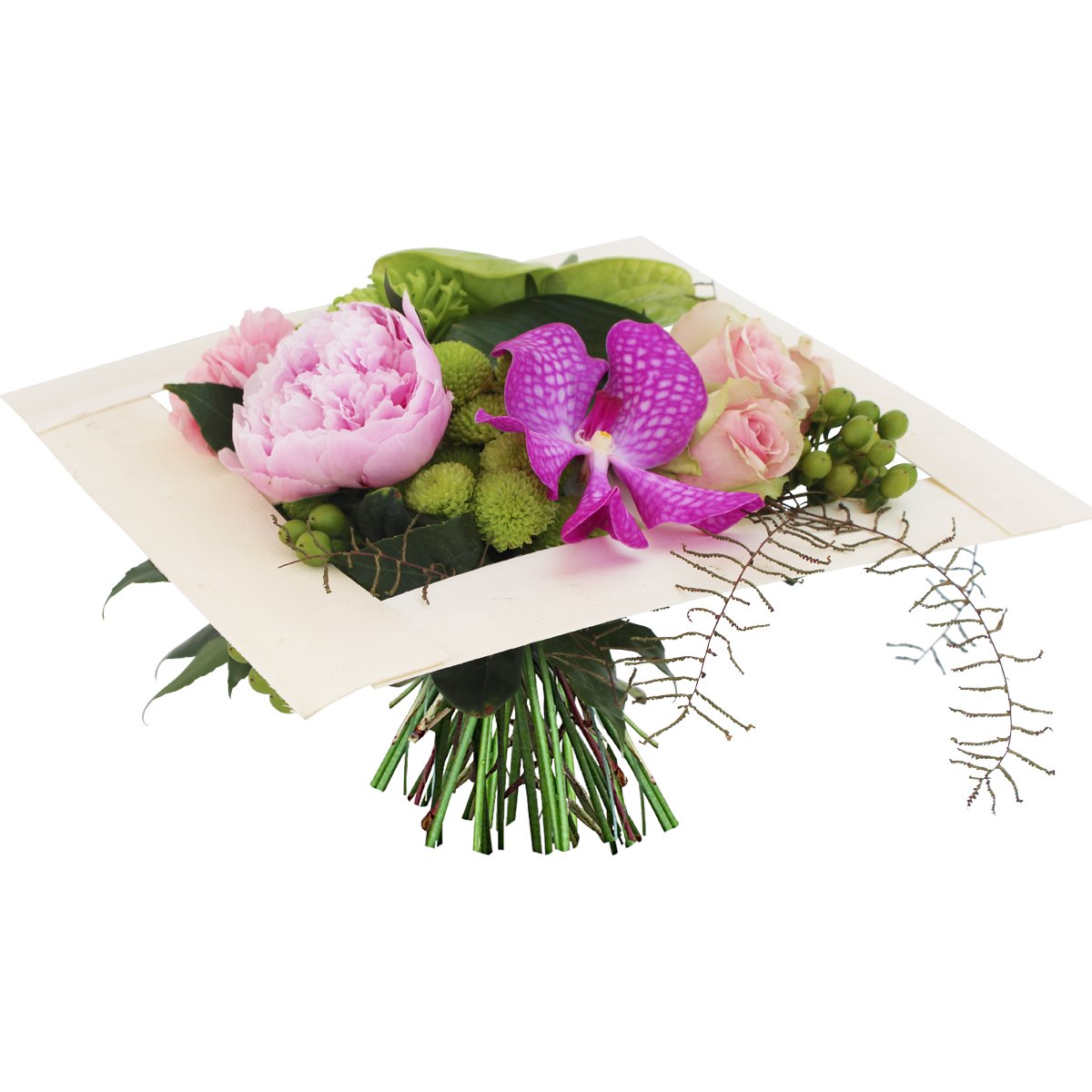 Floraclic Floraclic Twitter