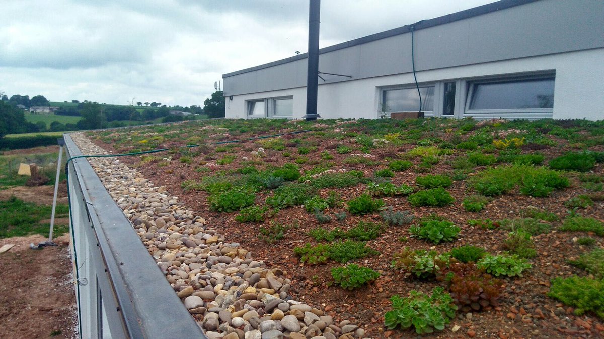 PlytechLtd's tweet photo. Got any pictures of flat roof projects that you've done? Send them to us over direct message and we will be sure to post them! 🔥🔥🔥
#FlatRoofFriday #FlatRoofing #Plytech #Roofing #RubberRoofing https://t.co/5KbsBBLzhy