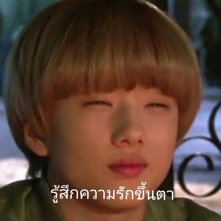 แมวข้างบ้าน♡︎ tweet media