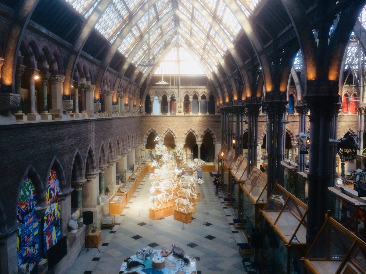 Tor kemp tweet media