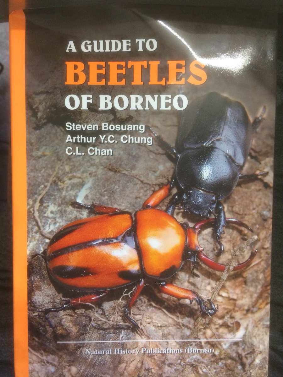 Tor kemp tweet media