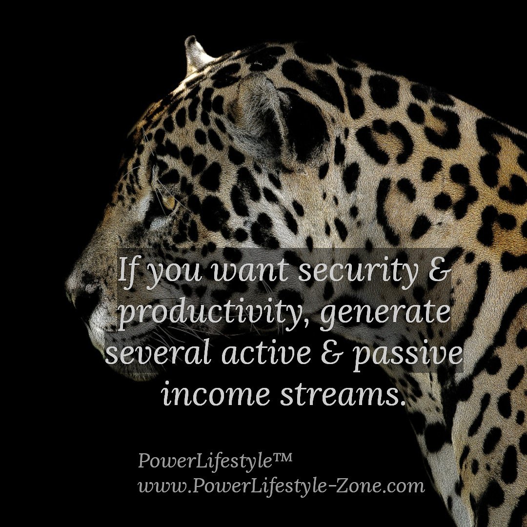 If your primary income breaks away then what? Do you intend to work your whole life 24/7 or do you strive to earn even while you sleep? Be prepared. Never rely on only one stream of income. ➡️ #powerlifestyle

#businessadvice #income #finances #financialfreedom #success