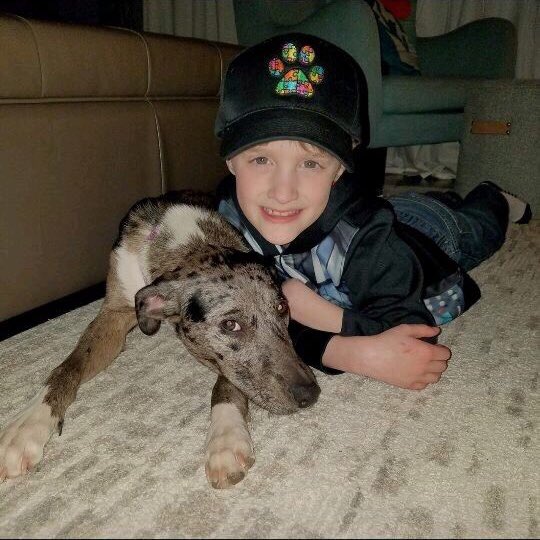 Paws4CauseIBE's tweet photo. Our hats are hot hot hot! And so are our prices! Visit https://t.co/JyBkRoUqEC and get yours for only $10 from now until Wednesday 4/25🔥 https://t.co/E1jBQbgUCr