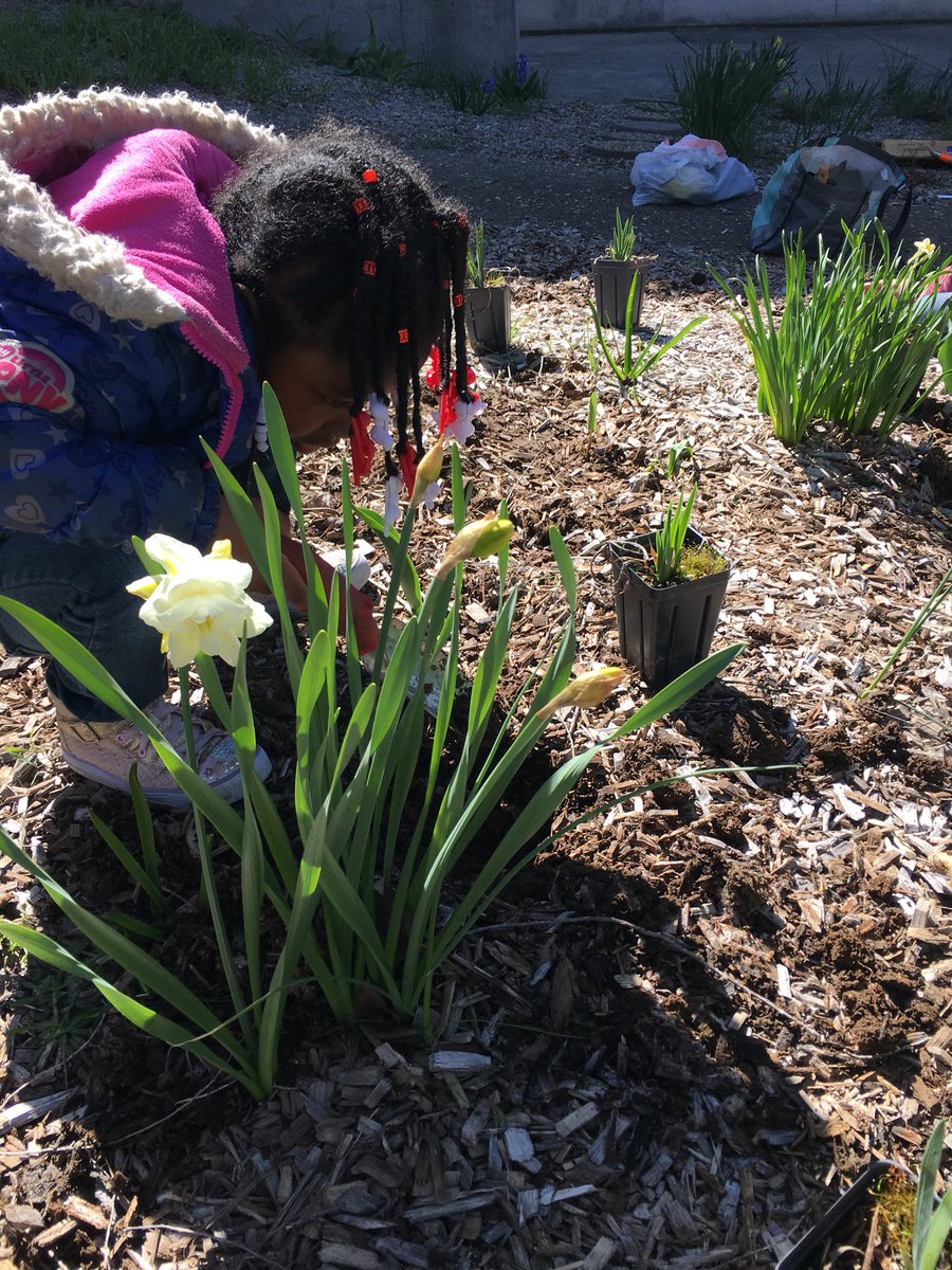 Templeton_MCCSC's tweet photo. Templeton students and #Sycamorelandtrust continue to make our school beautiful and giving our students a great educational experience! #Proud2beMCCSC https://t.co/sDlDsJ33hZ