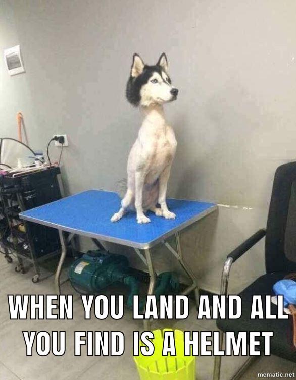 Friend of mine told me that he doesn't like helmets in PUBG, because he feels like this dog.