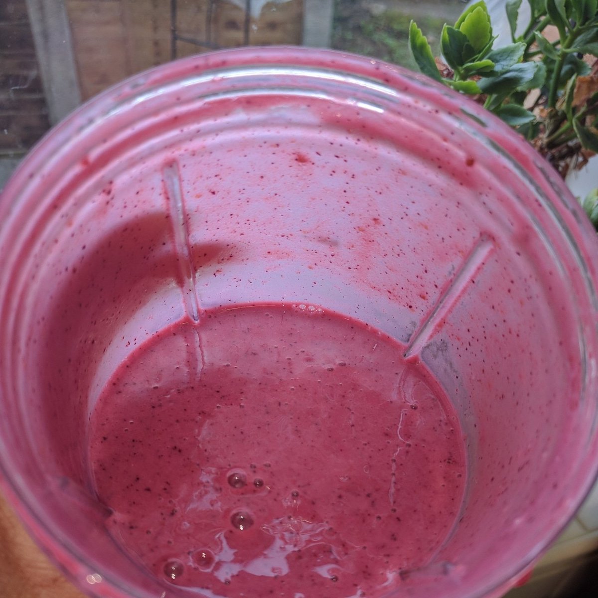 veganrawbeing's tweet photo. #Smoothie! #berries mix
 #vegan #rawvagan #veganism #plantbased #vegans #dairyfree #rawfood #glutenfree #nourished  #raweating #crueltyfree #plants #rawvegansofig #veganfoodshare #plantpowered #simplefood #fruit #fruits #livingfood #veganlifestyle #nutrients #wellness #rawfood https://t.co/J0pkVFZc25