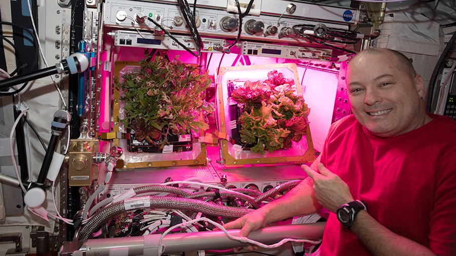 Space_Station's tweet photo. New research has been activated outside the station as biological samples are processed and packed for return to Earth inside the @SpaceX #Dragon resupply ship. https://t.co/FKaL2yF9Ac https://t.co/0uPl6Jha5P