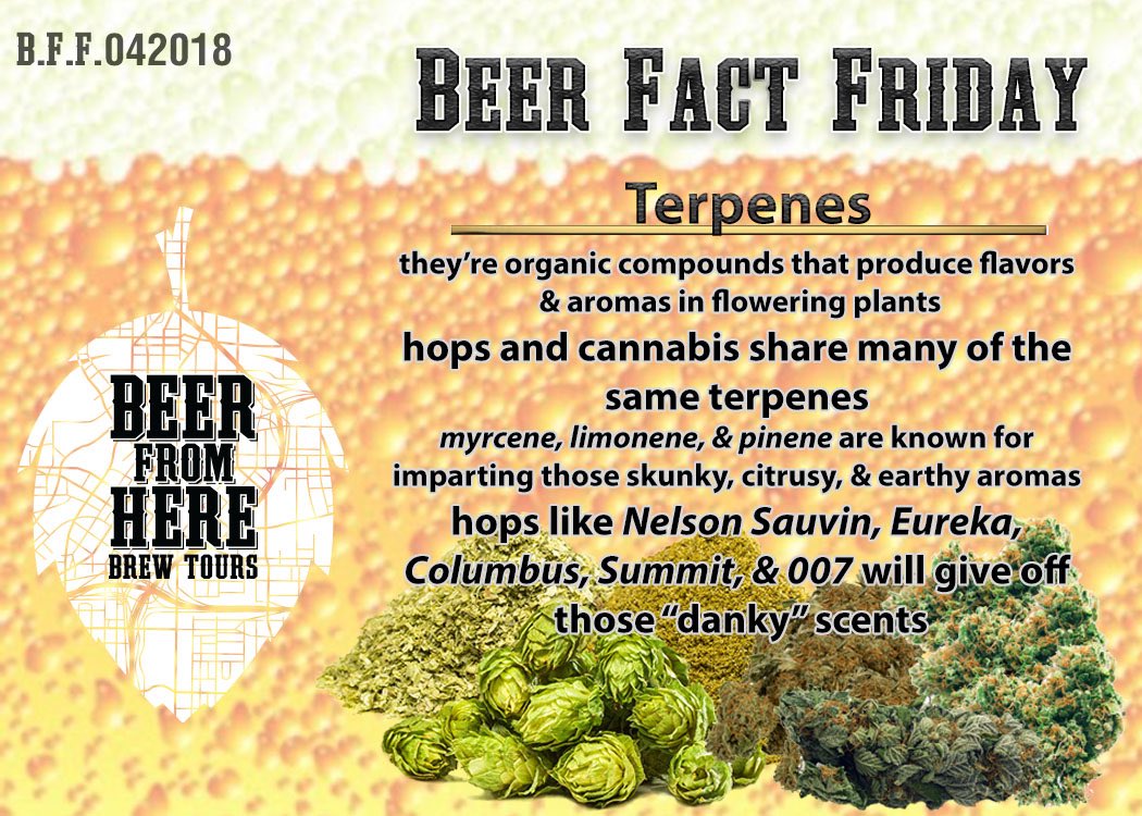 BeerFromHereATL's tweet photo. 🍻🌲Happy Friday🍁🍻
Both in the same Cannibanaceae family, Humulus (hops) & Cannabis have similarities and differences. But for today, why not focus on the positives?✌️
#happy420 #dankhops #atlbeer #beerfactfriday #drinklocalproudly #beerfromhereatl #gabeer #themoreyouknow🌈 https://t.co/ATI9325Xch