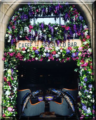 Wahoo Coffee tweet media