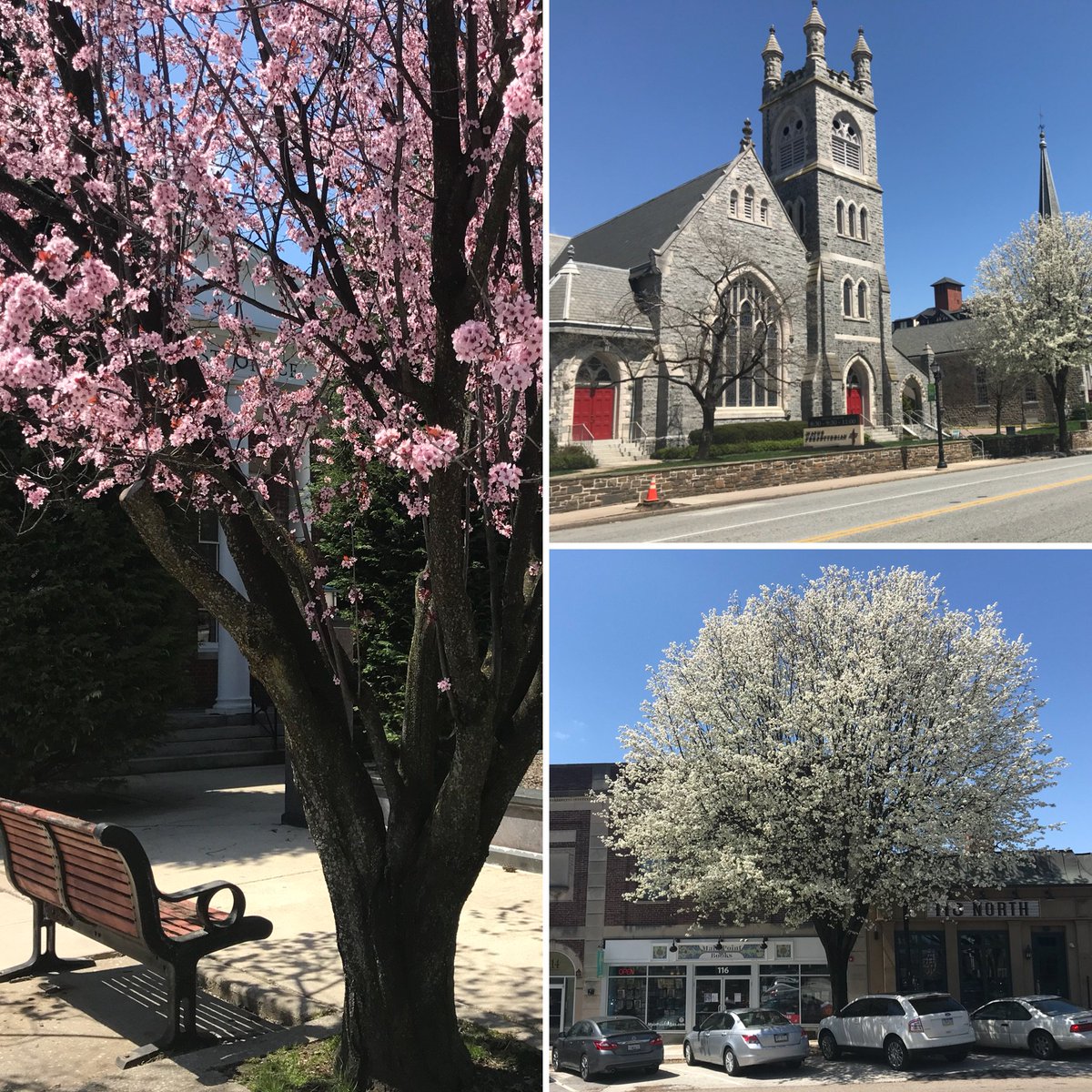plugface's tweet photo. Trees are finally in bloom in the #19087! We love our beautiful small business neighborhood in Wayne. #workinwayne https://t.co/eUx45lK0iB