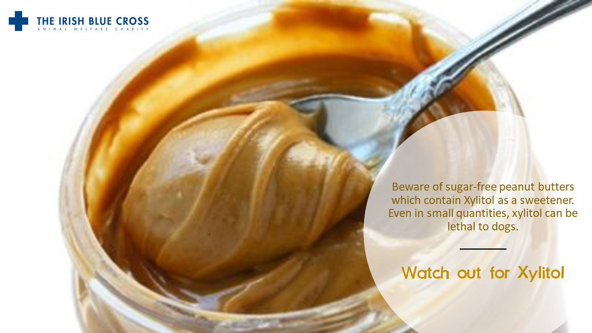 IrishBlueCross's tweet photo. ⚠️Does your dog love peanut butter? Have you checked the ingredients? Does it contain #Xylitol ? Even in small amounts, xylitol can cause low blood sugar, seizures, liver failure or even death in dogs. #Bewareofthedangers #Talktoyourvet https://t.co/5vxJyIuJkc
