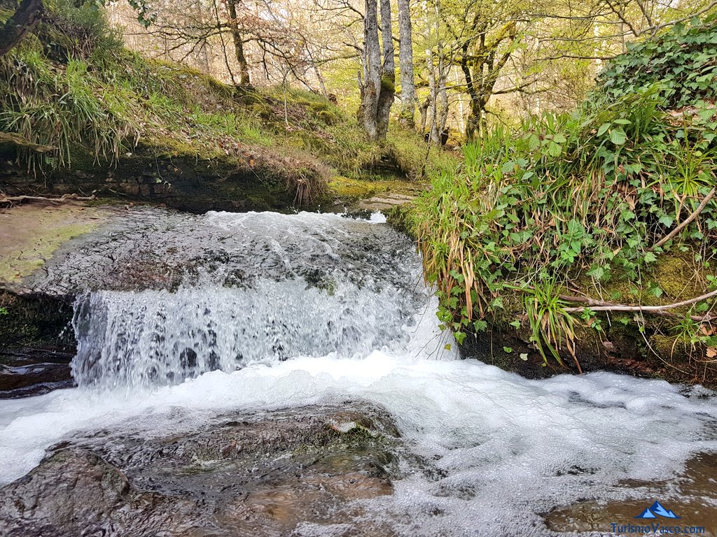 t_hunder_xazues's tweet photo. Ya estamos en el paraíso, ya estamos en el Valle de Arce. Aupa Nafarroa! 😊 #Navarra #Nafarroa #PirineoNavarro #ValleDeArce #CasaMonaut https://t.co/PNYoy2LGOt