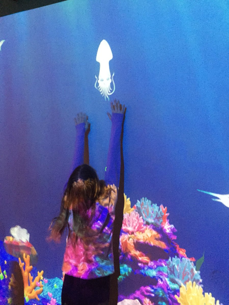Hodgson_205's tweet photo. Our sea creature designs were scanned and added to the aquarium wall #digiplayspace #TIFFLightBox #STEAM https://t.co/g0m4OhMDdu