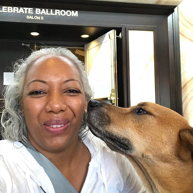 FLSmartPets's tweet photo. Look who I ran into and the IAABC conference in #burlingtonma?Oakley! He remembered me and gave me a big kiss! #iaabc2018 #iaabc #petsbehavingwell #evolutionarydogtraining #dogtrainerbroward https://t.co/fUn2n0eNM8 https://t.co/EsTRdJcBa3