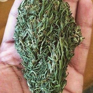 Freeman806's tweet image. Have you gotten you Best 2015 top strains.